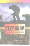 红色硝烟  西南边境大扫雷纪实 封面