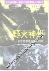野火神州  从苦苦相持到曙光初照 封面