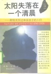 太阳失落在一个清晨  献给关怀过单亲孩子的人们 封面