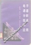 电子通道分析技术和应用 封面