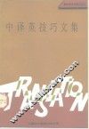 中译英技巧文集 封面