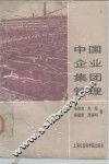 中国企业集团管理 封面