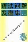 语法问题发掘集 封面