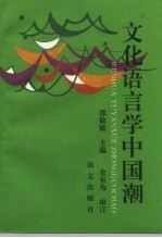 文化语言学中国潮 封面