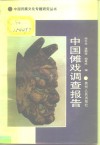 中国傩戏调查报告 封面