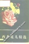 西北花儿精选 封面