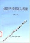 知识产权评述与展望 封面