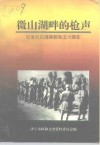 微山湖畔的枪声：纪念抗日战争胜利五十周年 封面