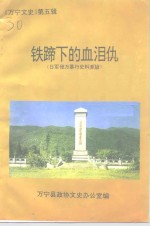 万宁文史  第5辑  铁蹄下的血泪仇  日军侵万暴行史料专辑 封面
