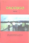 世纪末壮丽凯歌-恩平98.6抗洪复产重建家园纪实 封面