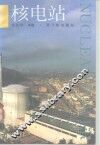 核电站 封面