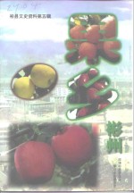 彬县文史资料  第5辑  果乡彬州 封面