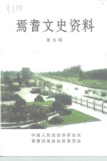 焉耆文史资料  第5辑 封面