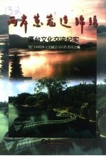 两岸葱茏连锦绣  厦台文化交流纪实 封面