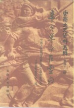 云南文史资料选辑  第41辑  辛亥革命在云南 封面