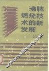 沸腾燃烧技术的新发展 封面