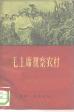 毛主席视察农村 封面