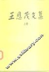 王恩茂文集  上 封面