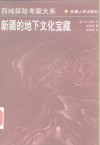 新疆的地下文化宝藏 封面