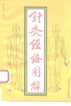 针灸经络图解 封面