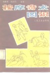 按摩奇术图识 封面