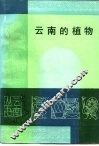 云南的植物 封面