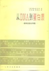 从DNA到蛋白质 遗传信息的传递 封面