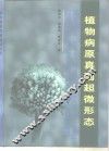 植物病原真菌超微形态 封面