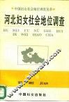 河北妇女社会地位调查 封面