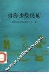 青海少数民族 封面