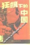 狂飙下的中国 封面