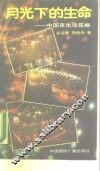 月光下的生命  中国夜生活探幽 封面