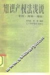 知识产权法浅说  专利·商标·版权 封面