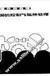 钢的控制气氛热处理 封面