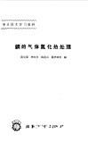 钢的气体氮化热处理 封面
