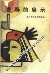 青春的启示  国外青少年生活实录 封面