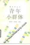 青年小群体 封面