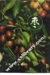 枣 封面