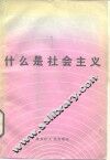 什么是社会主义 封面