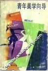 青年美学向导 封面
