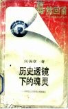 历史透镜下的魂灵-中国传统文化中的人性结构论 封面
