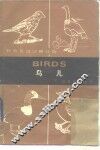 鸟儿 封面