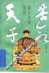 苦命天子  咸丰皇帝奕詝 封面