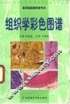 组织学彩色图谱 封面