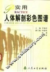 实用人体解剖彩色图谱 封面