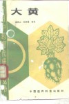 大黄 封面