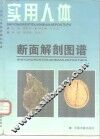 实用人体断面解剖图谱 封面