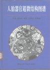 人胎器官超微结构图谱 封面