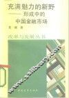 充满魅力的新野  形成中的中国金融市场 封面