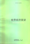 世界经济展望  国际货币基金组织工作人员概览  1989年4月 封面